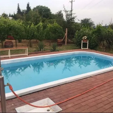 Holiday In Nemesgulacs/balaton 35570
