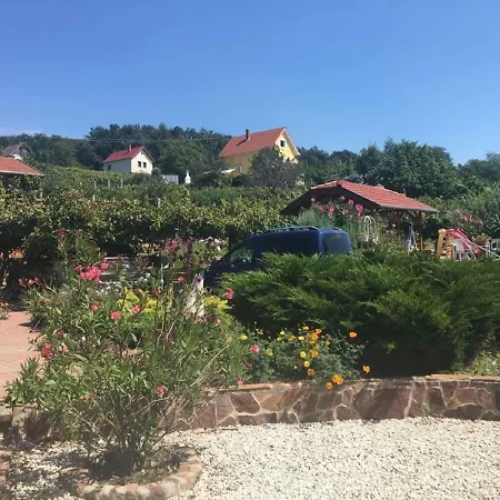Holiday In Nemesgulacs/balaton 35570